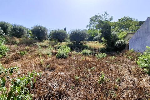 Erhvervsejendom i Tomar, Santarem, Tomar - € 1.850.000 | Ref: 395250049 - foto 10