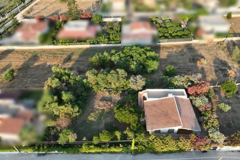 Villa i Pachino, Siracusa, Pachino - € 220.000 | Ref: V 156 - foto 6