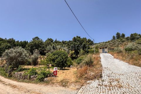 Helårsgrund i Guarda, Guarda, Guarda - € 19.900 | Ref: 046250205 - foto 1