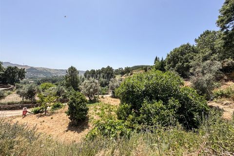 Helårsgrund i Guarda, Guarda, Guarda - € 19.900 | Ref: 046250205 - foto 3