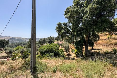 Helårsgrund i Guarda, Guarda, Guarda - € 19.900 | Ref: 046250205 - foto 4