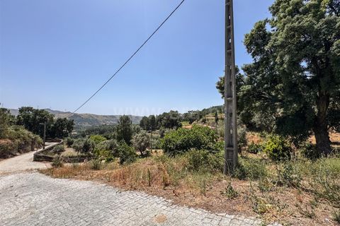 Helårsgrund i Guarda, Guarda, Guarda - € 19.900 | Ref: 046250205 - foto 5