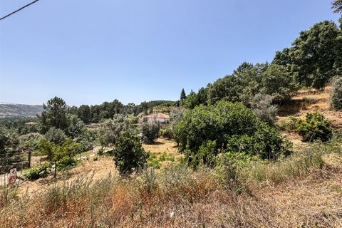 Helårsgrund i Guarda, Guarda, Guarda - € 19.900 | Ref: 046250205 - foto 6