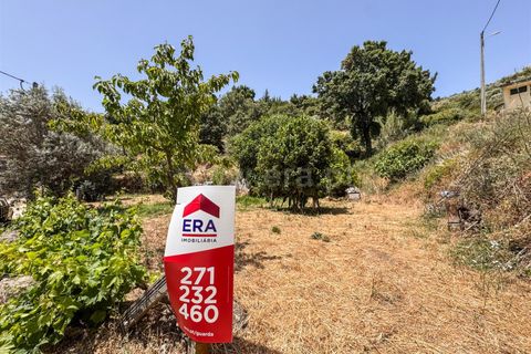 Helårsgrund i Guarda, Guarda, Guarda - € 19.900 | Ref: 046250205 - foto 7