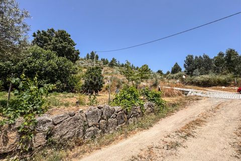 Helårsgrund i Guarda, Guarda, Guarda - € 19.900 | Ref: 046250205 - foto 8