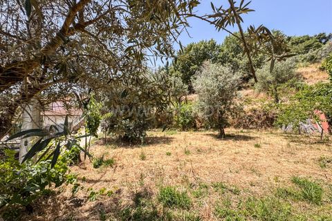 Helårsgrund i Guarda, Guarda, Guarda - € 19.900 | Ref: 046250205 - foto 9