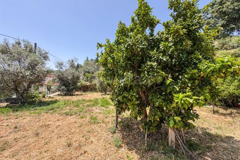 Helårsgrund i Guarda, Guarda, Guarda - € 19.900 | Ref: 046250205 - foto 10