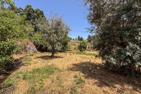 Helårsgrund i Guarda, Guarda, Guarda - € 19.900 | Ref: 046250205 - foto 11