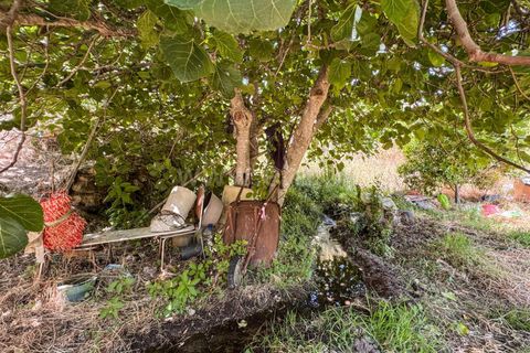 Helårsgrund i Guarda, Guarda, Guarda - € 19.900 | Ref: 046250205 - foto 12