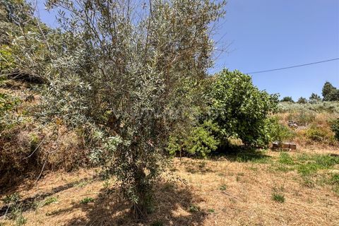 Helårsgrund i Guarda, Guarda, Guarda - € 19.900 | Ref: 046250205 - foto 13