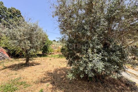 Helårsgrund i Guarda, Guarda, Guarda - € 19.900 | Ref: 046250205 - foto 14