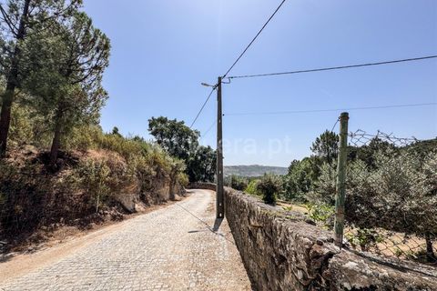 Helårsgrund i Guarda, Guarda, Guarda - € 19.900 | Ref: 046250205 - foto 15