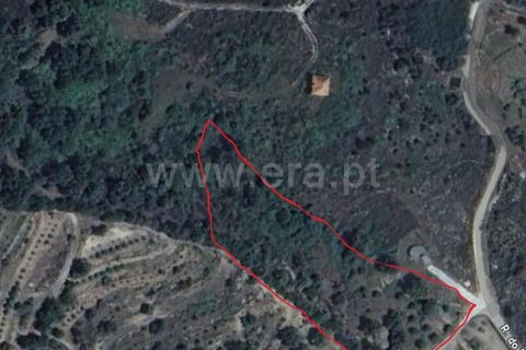 Helårsgrund i Guarda, Guarda, Guarda - € 19.900 | Ref: 046250205 - foto 17
