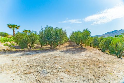 Villa i Nijar, Almeria, Nijar - € 299.000 | Ref: EXP10368/8930 - foto 10