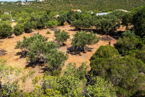 Terra a Loule, Faro, Loule - € 375.000 | Ref: FC600GTZ - foto 3