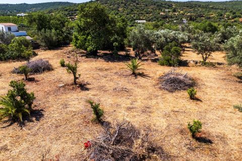 Terra a Loule, Faro, Loule - € 375.000 | Ref: FC600GTZ - foto 8