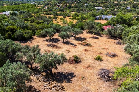 Terra a Loule, Faro, Loule - € 375.000 | Ref: FC600GTZ - foto 11
