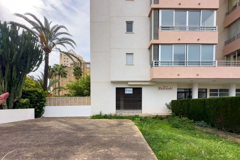 L'establiment comercial a Calpe, Alicante, Calpe - € 201.733 | Ref: LD20 - foto 5