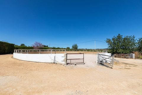 Villa a Torrent, Valencia, Torrent - € 800.000 | Ref: VLC5118 - foto 37