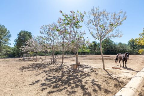 Villa a Torrent, Valencia, Torrent - € 800.000 | Ref: VLC5118 - foto 39
