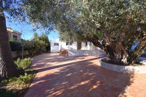 Villa a Turis, Valencia, Turis - € 285.000 | Ref: VLC3196 - foto 24