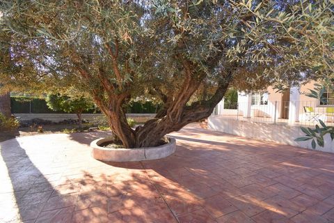 Villa a Turis, Valencia, Turis - € 285.000 | Ref: VLC3196 - foto 34