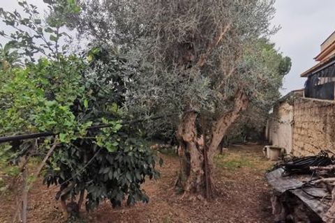 Villa in Sciacca, Agrigento, Sciacca - € 350.000 | Ref: Villa Raganà - foto 27