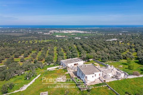 Farm hus i Cisternino, Brindisi, Cisternino - € 2.000.000 | Ref: 9113RA78741 - foto 2