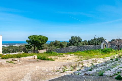 Farm hus i Cisternino, Brindisi, Cisternino - € 2.000.000 | Ref: 9113RA78741 - foto 10
