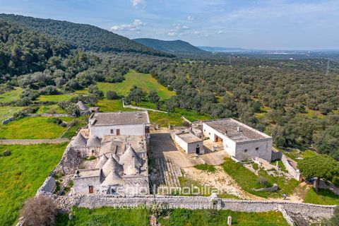 Farm hus i Cisternino, Brindisi, Cisternino - € 2.000.000 | Ref: 9113RA78741 - foto 5