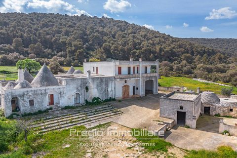 Farm hus i Cisternino, Brindisi, Cisternino - € 2.000.000 | Ref: 9113RA78741 - foto 6