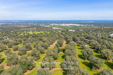 Farm hus i Cisternino, Brindisi, Cisternino - € 2.000.000 | Ref: 9113RA78741 - foto 11