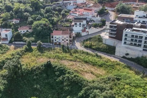 Helårsgrund i Coimbra, Coimbra, Coimbra - € 190.000 | Ref: WISECBRHC-TE1005 - foto 8