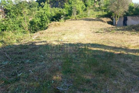 Helårsgrund i Coimbra, Coimbra, Coimbra - € 190.000 | Ref: WISECBRHC-TE1005 - foto 2