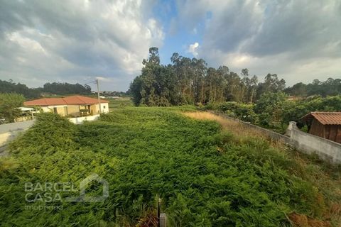 Helårsgrund i Alvito, Beja, Alvito - € 89.500 | Ref: 159/25 - foto 5