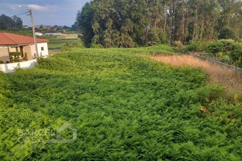 Helårsgrund i Alvito, Beja, Alvito - € 89.500 | Ref: 159/25 - foto 6