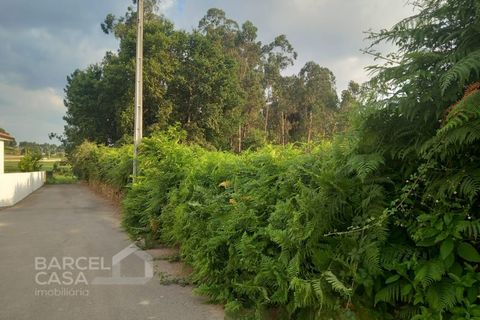 Helårsgrund i Alvito, Beja, Alvito - € 89.500 | Ref: 159/25 - foto 7