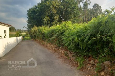Helårsgrund i Alvito, Beja, Alvito - € 89.500 | Ref: 159/25 - foto 8