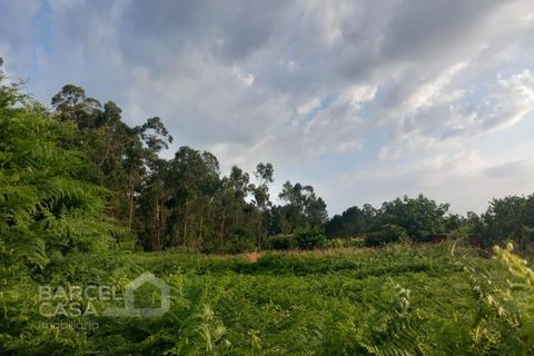 Helårsgrund i Alvito, Beja, Alvito - € 89.500 | Ref: 159/25 - foto 9