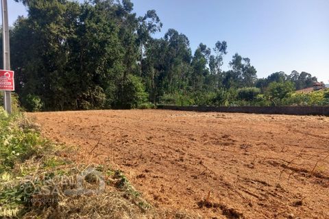 Helårsgrund i Alvito, Beja, Alvito - € 89.500 | Ref: 159/25 - foto 2