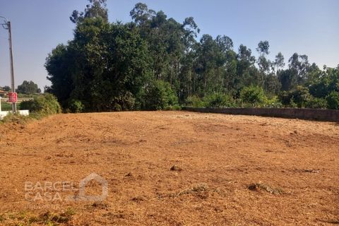 Helårsgrund i Alvito, Beja, Alvito - € 89.500 | Ref: 159/25 - foto 3