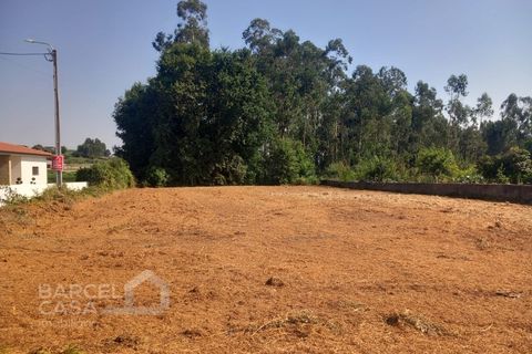 Helårsgrund i Alvito, Beja, Alvito - € 89.500 | Ref: 159/25 - foto 4