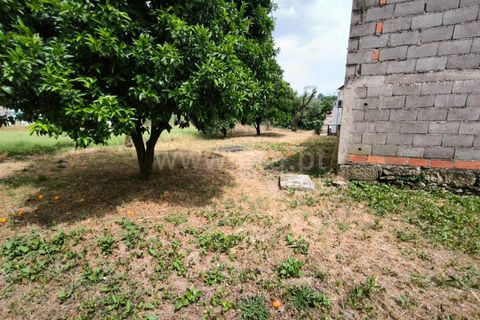 Villa i Mangualde, Viseu, Mangualde - € 189.000 | Ref: 389250133 - foto 40