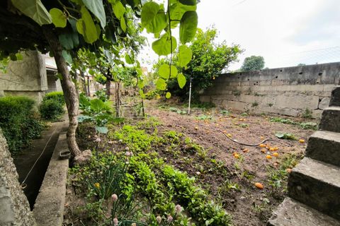 Villa i Mangualde, Viseu, Mangualde - € 189.000 | Ref: 389250133 - foto 41