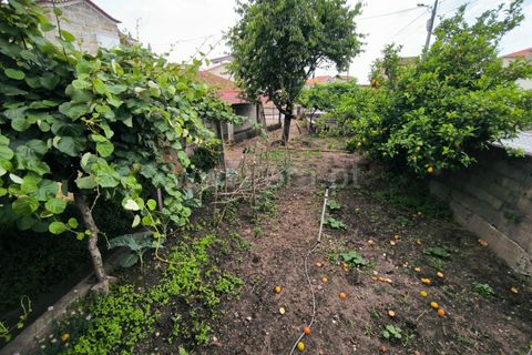 Villa i Mangualde, Viseu, Mangualde - € 189.000 | Ref: 389250133 - foto 43