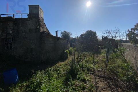 Villa i Maia, Porto, Maia - € 185.000 | Ref: 346 - foto 15