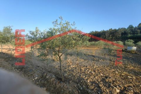 Tomt i Alvite e Passos, Braga, Alvite e Passos - € 70 000 | Ref: SÒL_1290 - foto 2