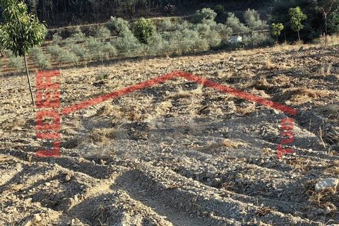 Tomt i Alvite e Passos, Braga, Alvite e Passos - € 70 000 | Ref: SÒL_1290 - foto 6