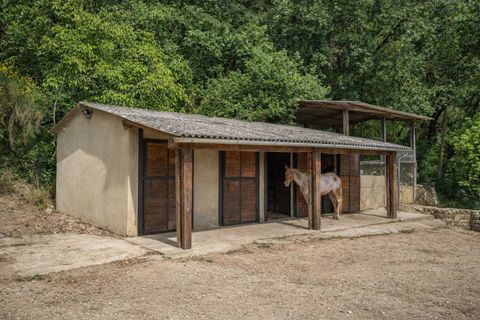 Villa a Montone, Perugia, Montone - € 1.590.000 | Ref: CBI134-1917-171 - foto 33