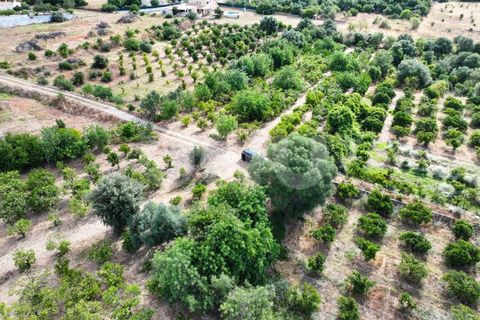 Helårsgrund i Albufeira, Faro, Albufeira - € 170.000 | Ref: UNU.I.1639.20554 - foto 4